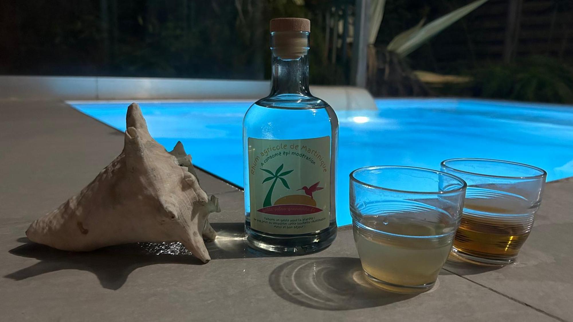 La Villa Jalna Grenadine Deux Chambres Et Piscine Privee Les Trois-Ilets Zewnętrze zdjęcie